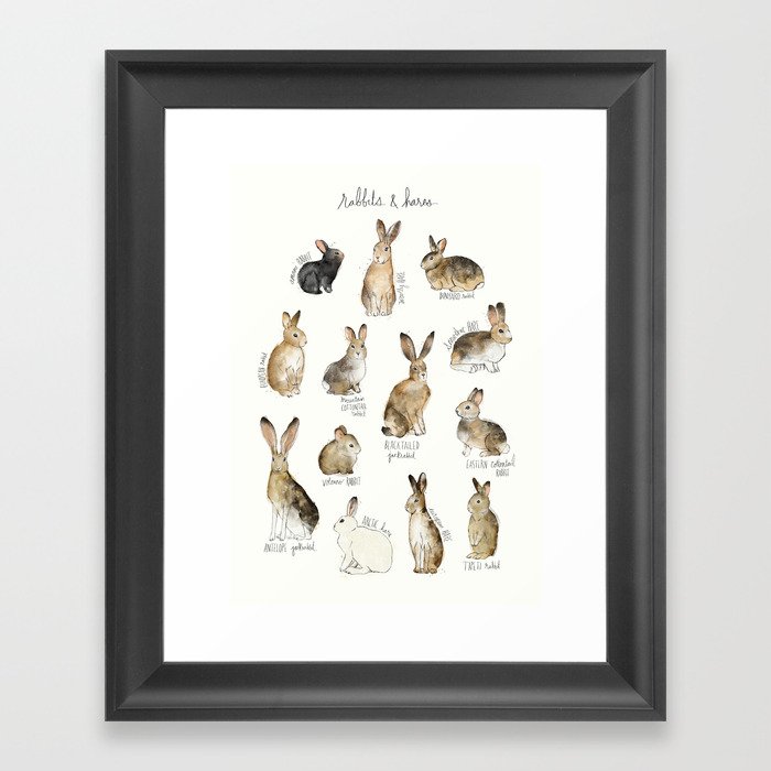 Rabbits & Hares Framed Art Print by Amy Hamilton Society6