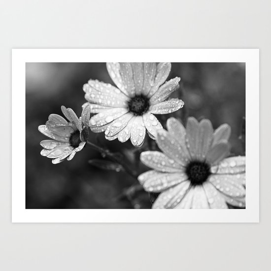 After The Rain Art Print