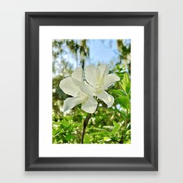 The White Flower Pairing Framed Art Print