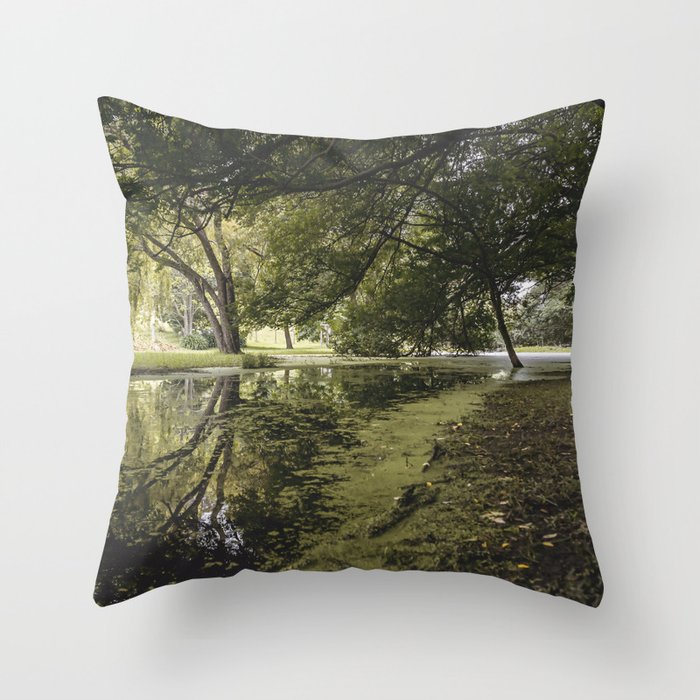 /// Hidden Worlds /// Landscape photograph taken under the lush green trees of a quiet creekside Throw Pillow