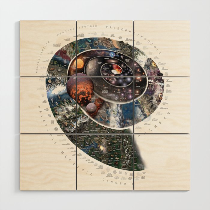 Nature Timespiral Wood Wall Art