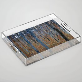 Gustav Klimt - Beech Grove I Acrylic Tray