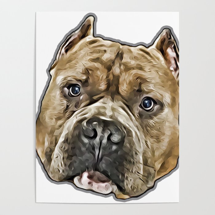 American Bully pitbull dog Poster
