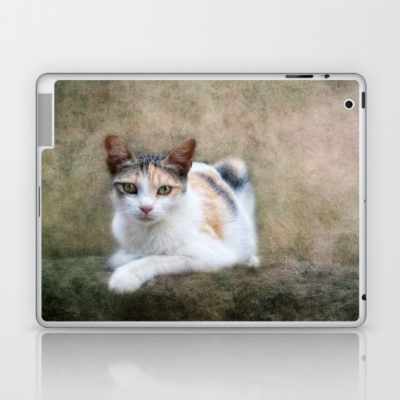 kitty cat Laptop & iPad Skin