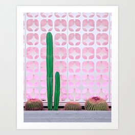 Mexican Fence Post and Barrel Cactus with Mid-Century Background Pattern Art Print