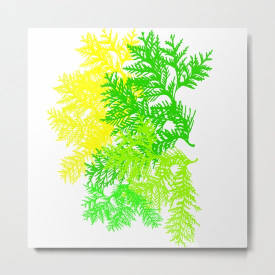 Fern Metal Print
