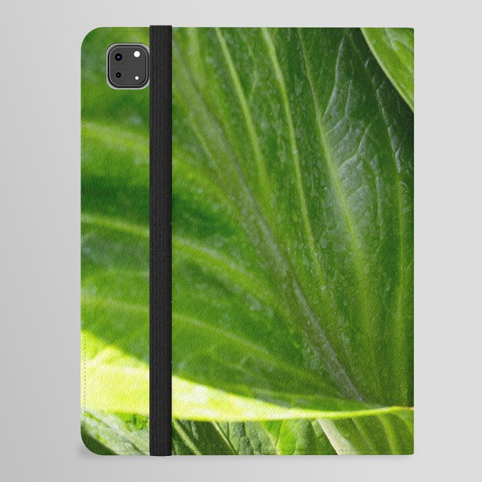 Anthurium Leaves Close Up Photography  iPad Folio Case