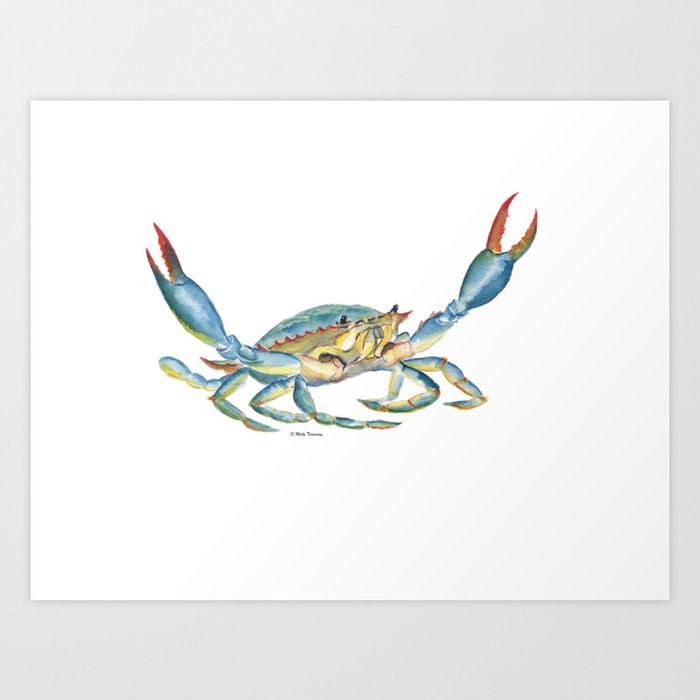 Colorful Blue Crab Art Print