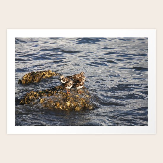 Washing away Art Print