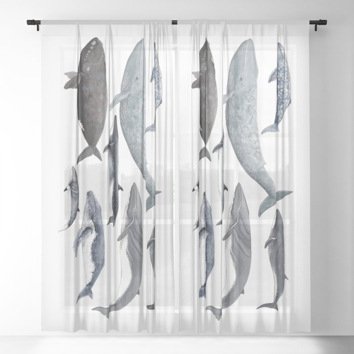 Whales and right whale Sheer Curtain