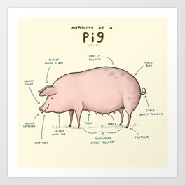 Anatomy of a Pig Art Print