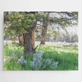 Trees in Yellowstone Jigsaw Puzzle