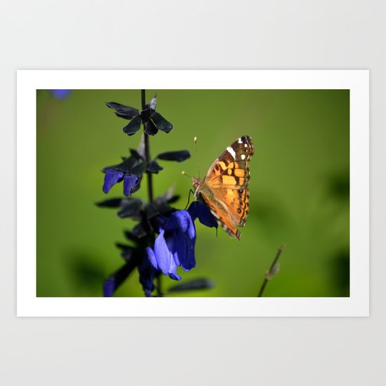 Nature Does Not Intrude Art Print