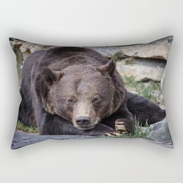 Big brown bear relaxing in the sun - nature - animal - photography Rectangular Pillow