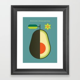 Fruit: Avocado Framed Art Print