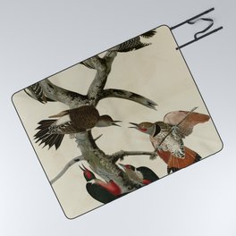 416 I. Hairy Woodpecker 2. Red bellied Woodpecker 3. Red shafted Woodpecker 4. Lewis' Woodpecker 5. Picnic Blanket