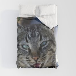 Chatty Cat Chirruping Pet Photography Duvet Cover