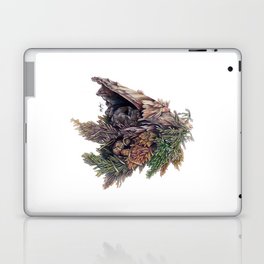 Colors of the Cypress Laptop & iPad Skin