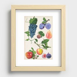 tropical fruits  Canvas Poster Wall Decor Recessed Framed Print