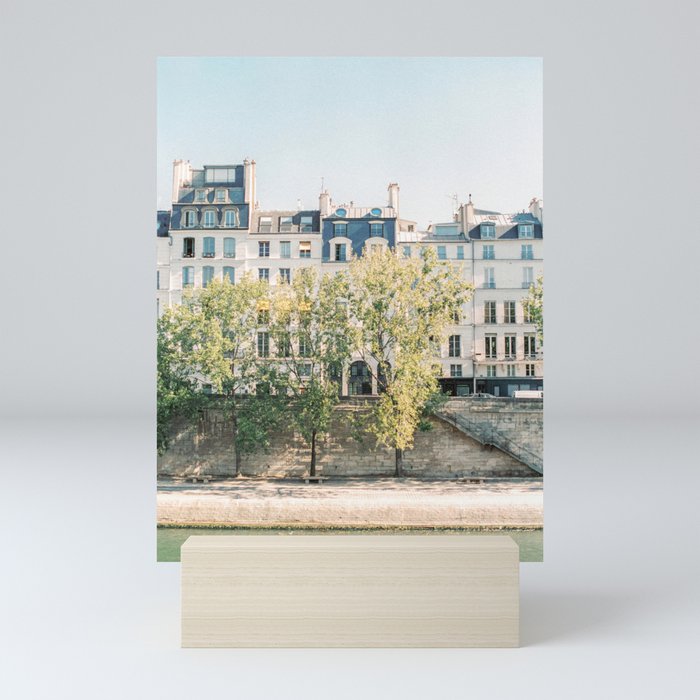 Mini Art Print