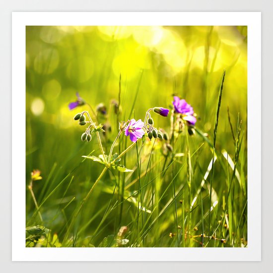 Beautiful meadow flowers - geranium on a sunny day - brilliant bright colors Art Print