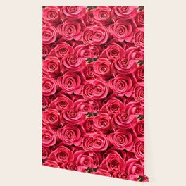 Red Roses Wallpaper For Any Decor Style Society6