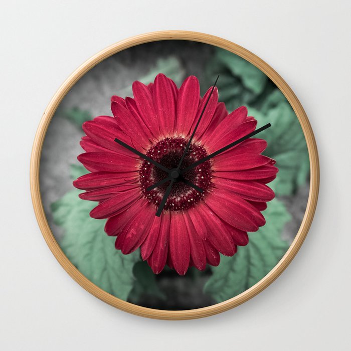 A Full Frontal Closeup of a Red Daisy Wall Clock