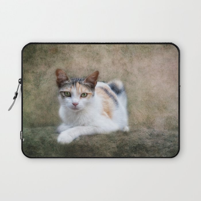 kitty cat Laptop Sleeve