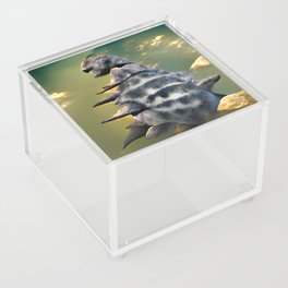 Ankylosaurus Acrylic Box