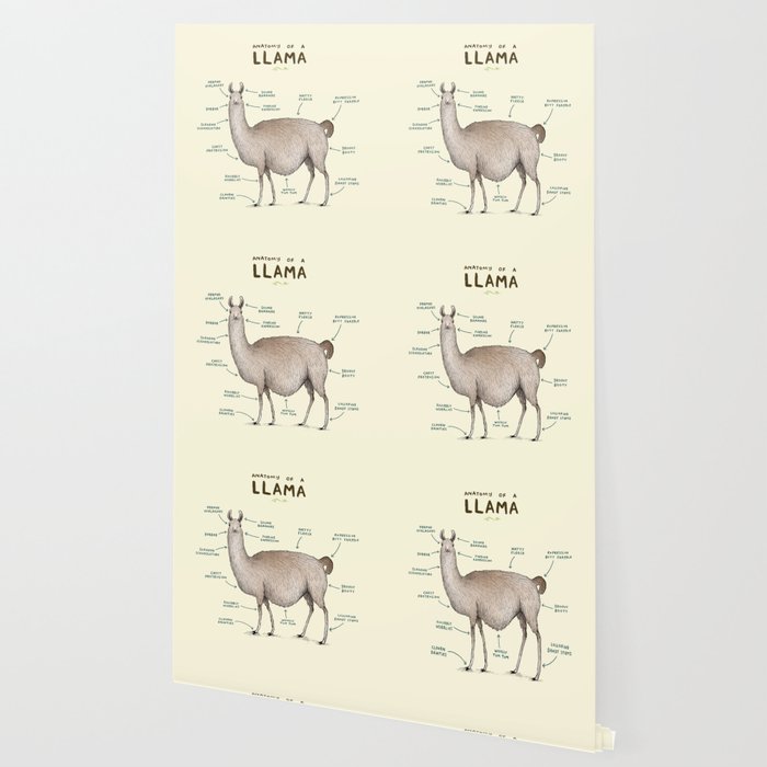 Anatomy Of A Llama Wallpaper By Sophiecorrigan Society6