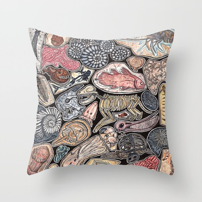 Fossils for history, dinosaur and archaeology lovers Throw ...