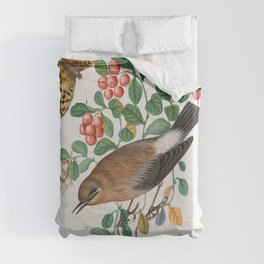 Northern Wheatear, Cowberry and Silver-washed Fritillary and Long-legged Fly from the Natural History Cabinet of Anna Blackburne  Duvet Cover