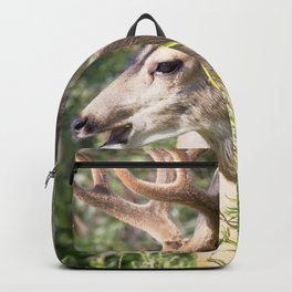 Watercolor Deer, Mule 18, Estes Park, Colorado, The Jester Backpack | Estes, Mule, Male, Deer, Digital, Velvet, Park, Rocky, Spring, Carlsonimagery 