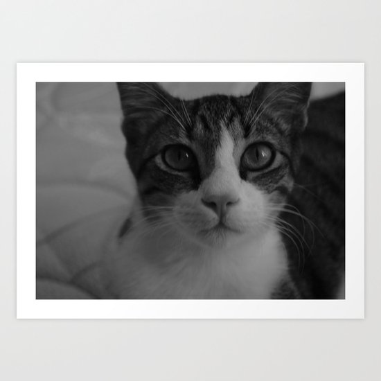 CAT. Art Print