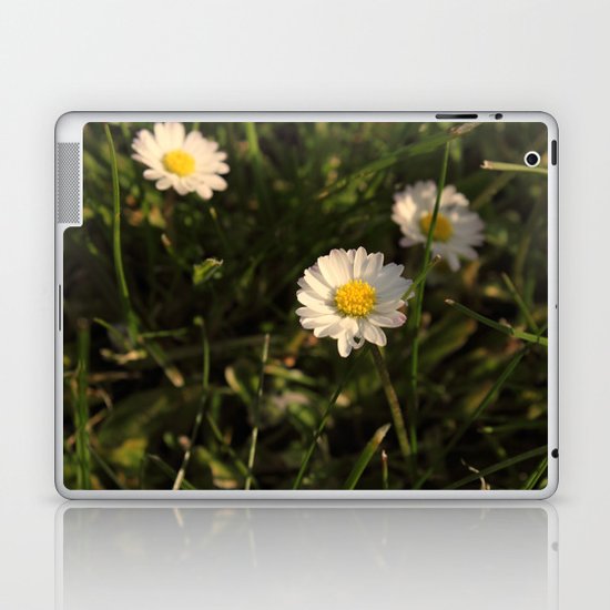 Daisy Daisy Laptop & iPad Skin