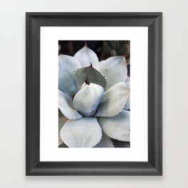 Agave in Blue Framed Art Print