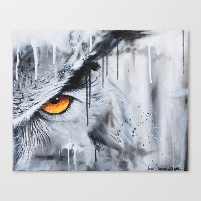 owl eye night vision Canvas Print