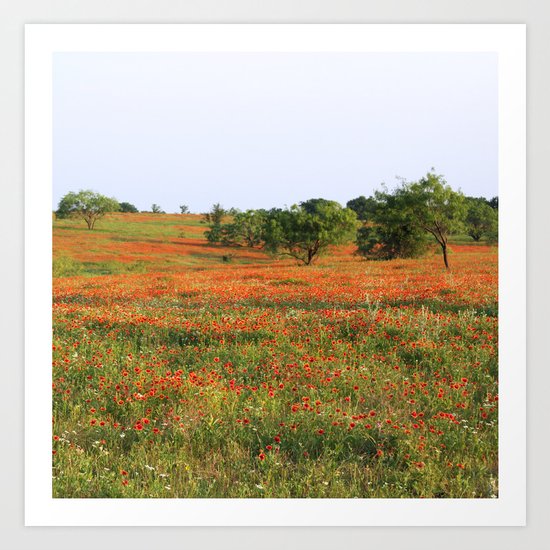 Field of Flowers! Art Print