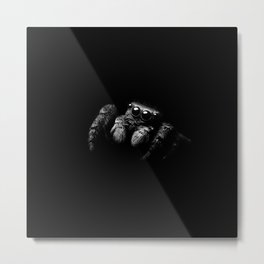 Cute Jumping Spider Black and White Print Metal Print | Cutespider, Tarantula, Black And White, Arachnid, Spiderweb, Photo, Spidergift, Entomolgy, Jumpingspider 