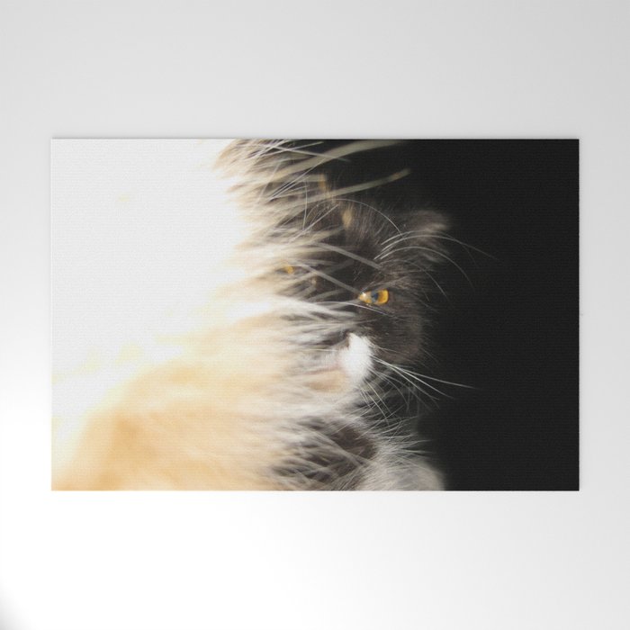 Fluffy Calico Cat Welcome Mat By Loolyelzayat Society6