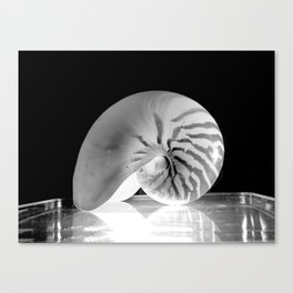 Behold the Seashell Canvas Print