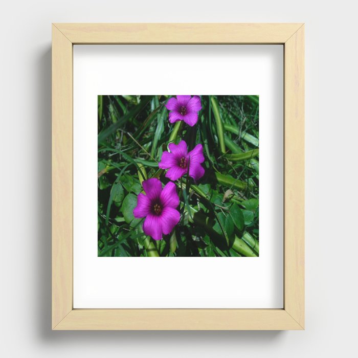 Purple Magic Recessed Framed Print
