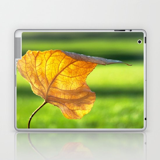 Fallen Laptop & iPad Skin