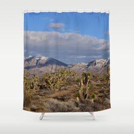Winter in the Desert Shower Curtain