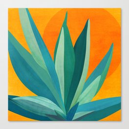 West Coast Sunset With Agave Canvas Print