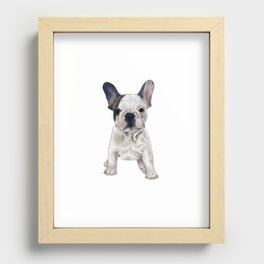 Pebbles the frenchie bulldog  Recessed Framed Print