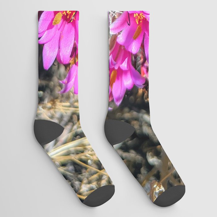 Flowering Cactus Socks