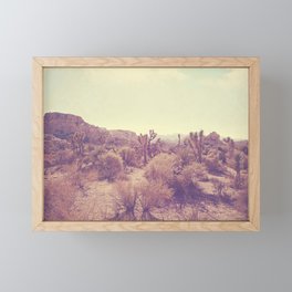 Joshua Tree photo. No. 357 Framed Mini Art Print