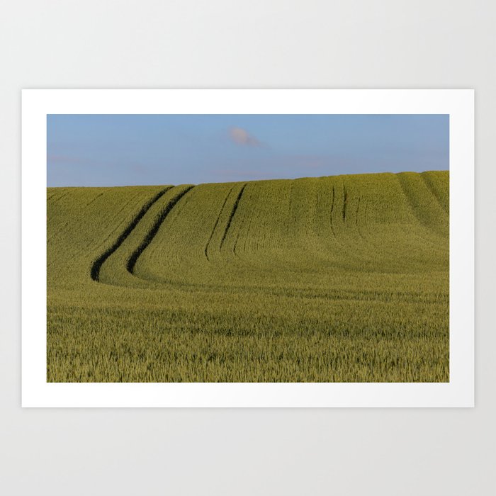 Wheat fields Denmark Art Print