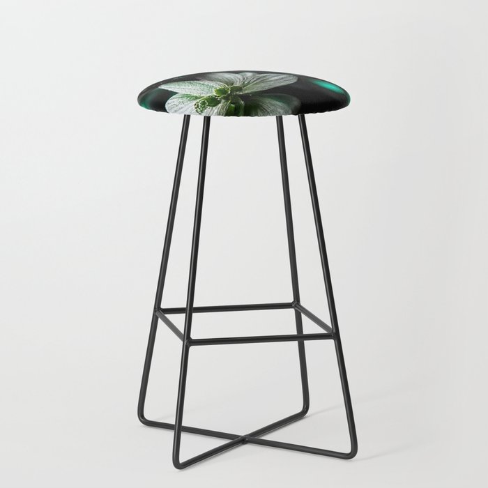 Metamorphosis - Growth I Bar Stool